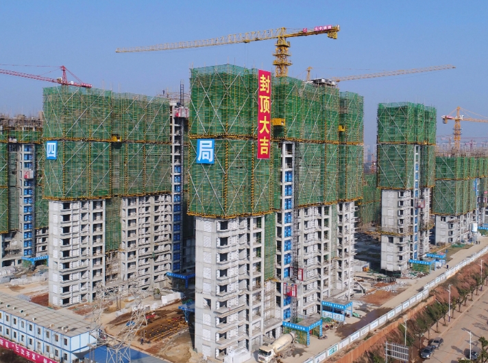 中标项目案例